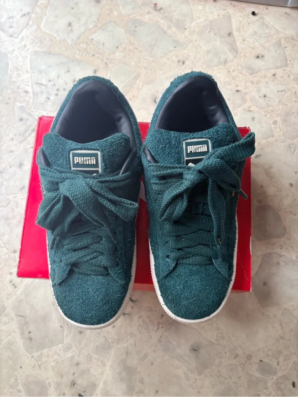 Puma brand model